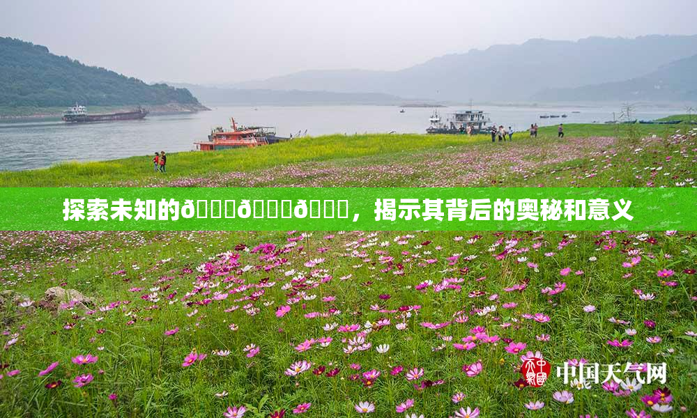探索未知的🍆🍑🔞，揭示其背后的奥秘和意义