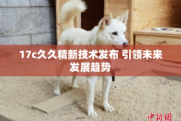 17c久久精新技术发布 引领未来发展趋势