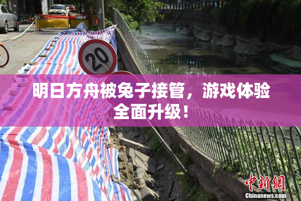 明日方舟被兔子接管，游戏体验全面升级！