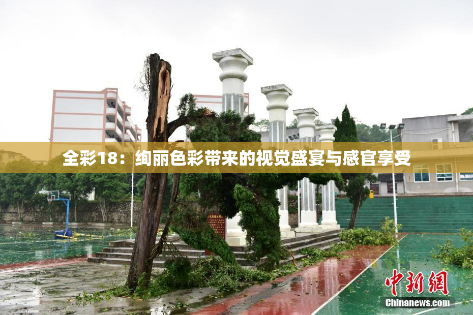 全彩18：绚丽色彩带来的视觉盛宴与感官享受
