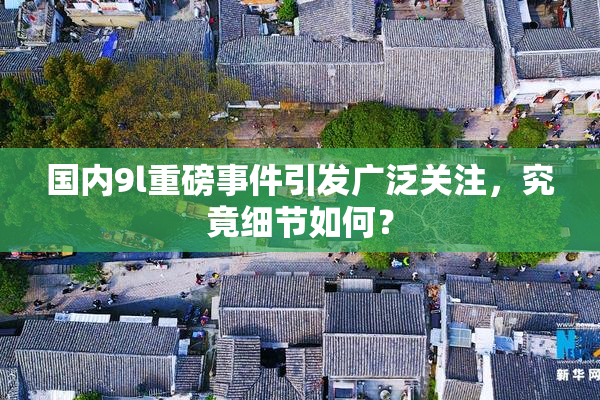 国内9l重磅事件引发广泛关注，究竟细节如何？