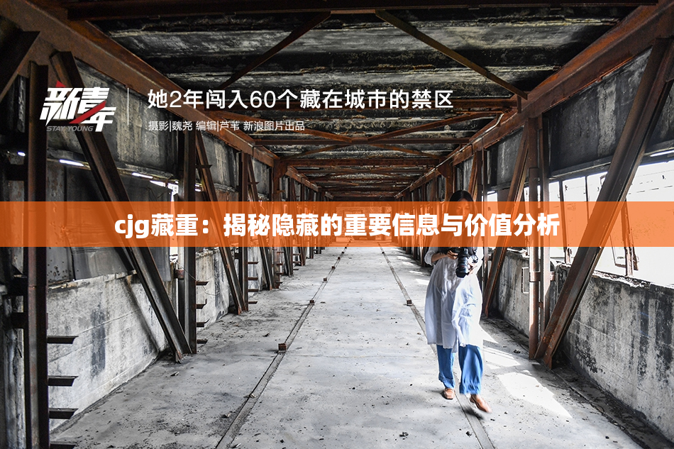 cjg藏重：揭秘隐藏的重要信息与价值分析
