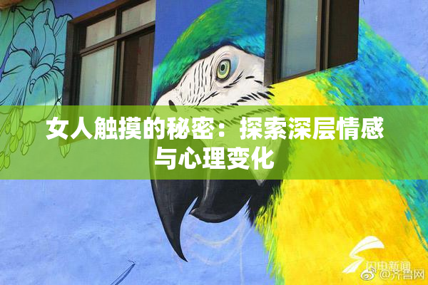 女人触摸的秘密：探索深层情感与心理变化