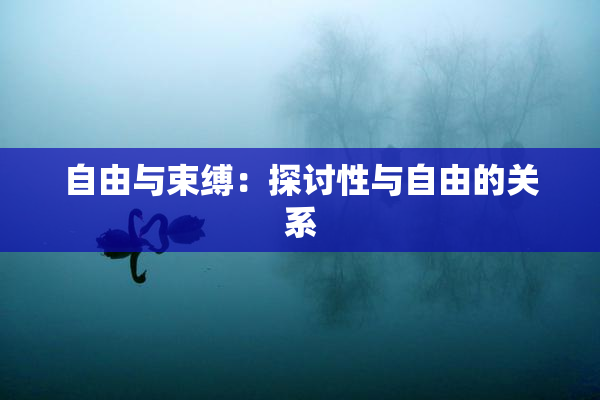 自由与束缚：探讨性与自由的关系