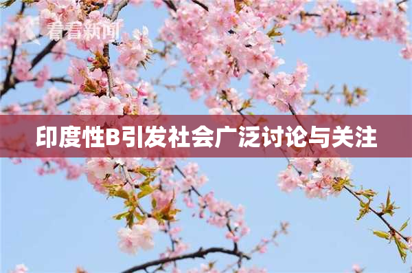 印度性B引发社会广泛讨论与关注