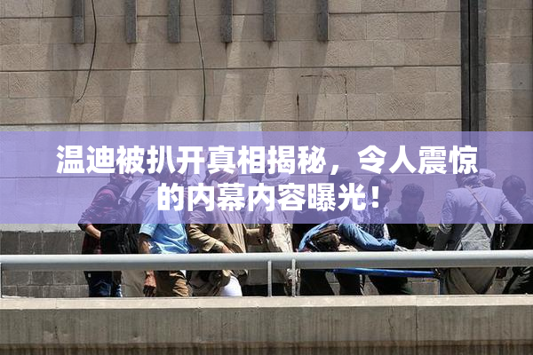 温迪被扒开真相揭秘，令人震惊的内幕内容曝光！