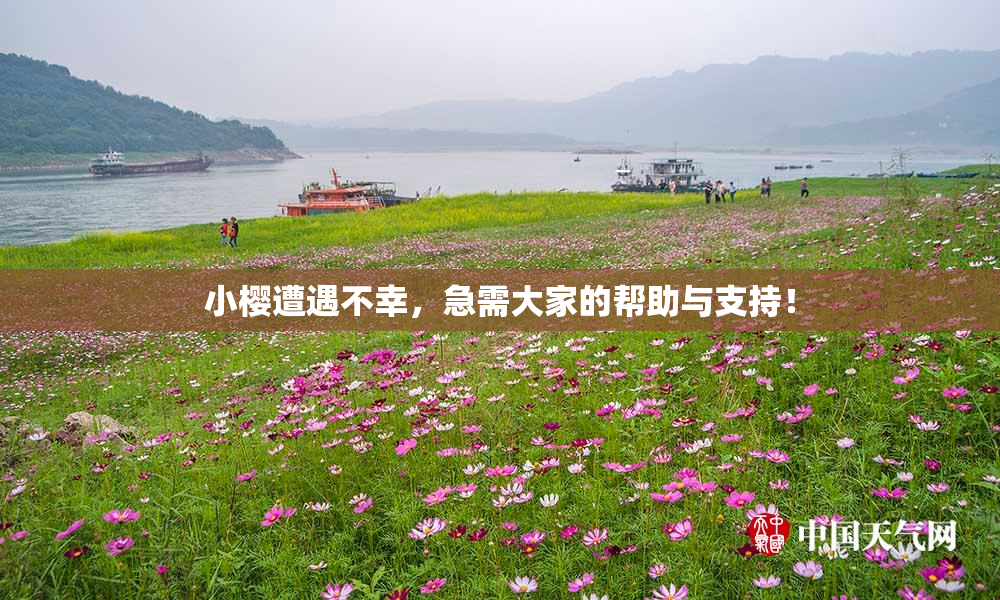 小樱遭遇不幸，急需大家的帮助与支持！
