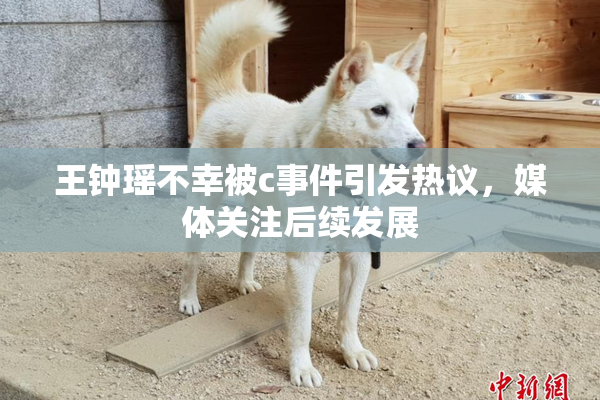 王钟瑶不幸被c事件引发热议，媒体关注后续发展