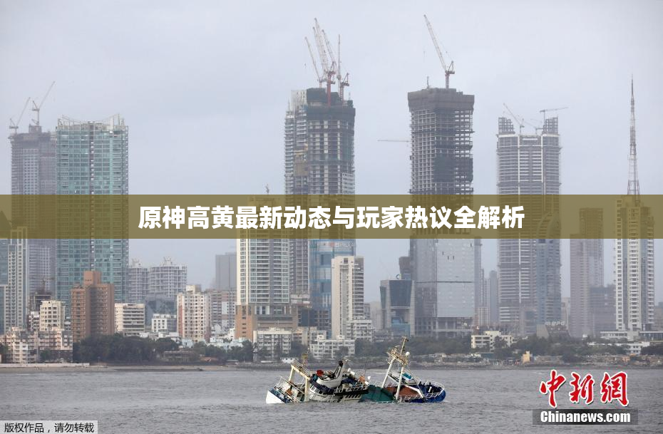 原神高黄最新动态与玩家热议全解析