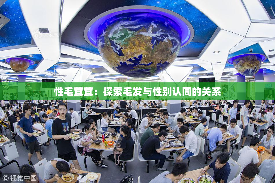 性毛茸茸：探索毛发与性别认同的关系