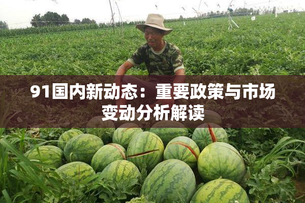 91国内新动态：重要政策与市场变动分析解读