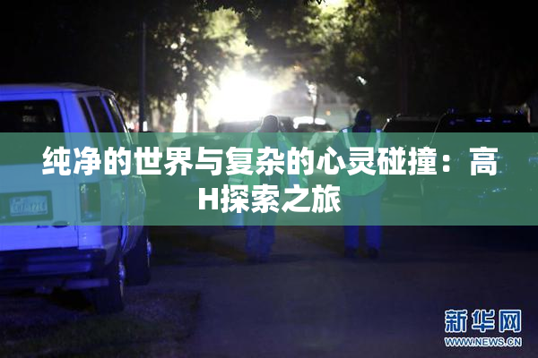 纯净的世界与复杂的心灵碰撞：高H探索之旅