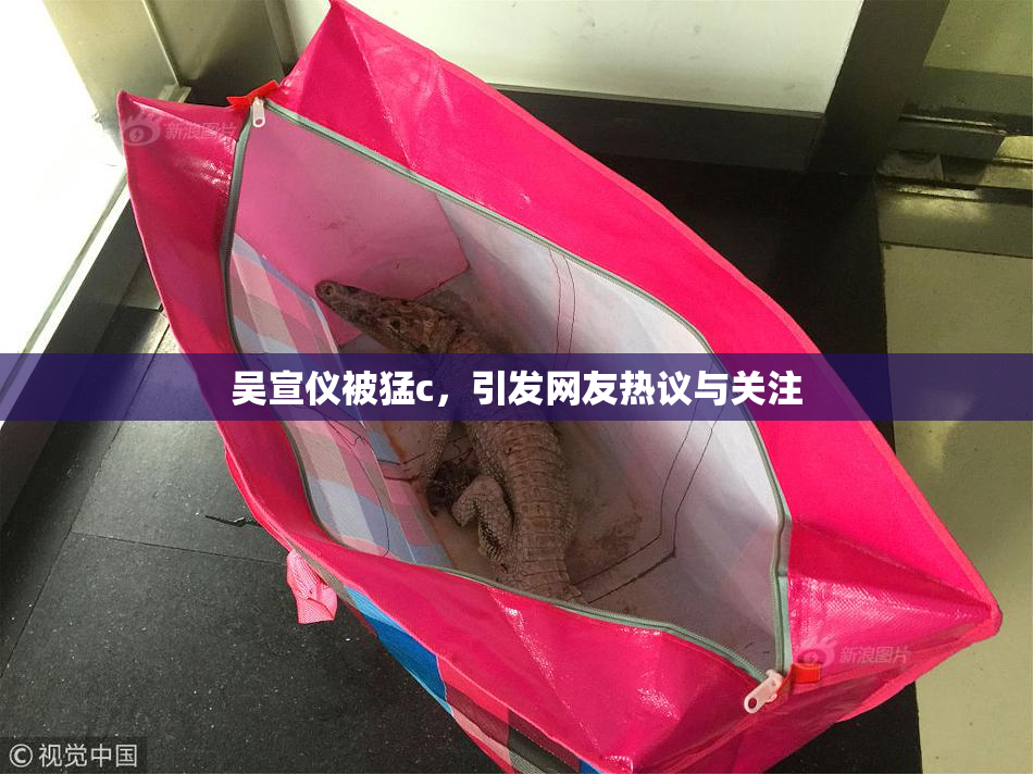 吴宣仪被猛c，引发网友热议与关注