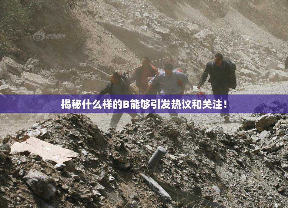 揭秘什么样的B能够引发热议和关注！