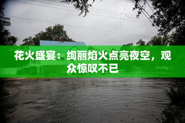 花火盛宴：绚丽焰火点亮夜空，观众惊叹不已