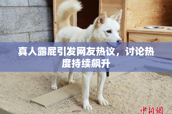 真人露屁引发网友热议，讨论热度持续飙升