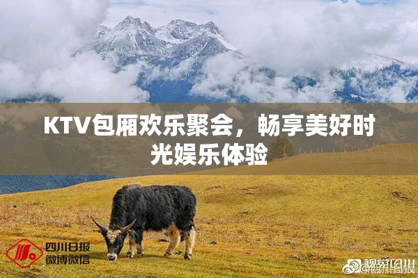 KTV包厢欢乐聚会，畅享美好时光娱乐体验
