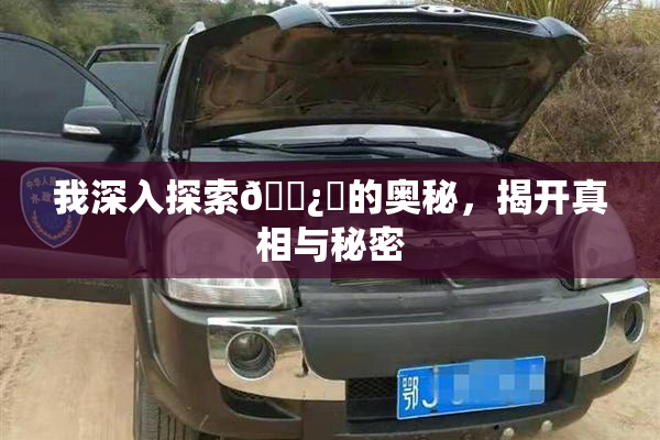 我深入探索🌿‌的奥秘，揭开真相与秘密
