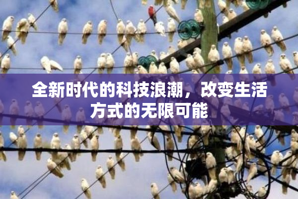 全新时代的科技浪潮，改变生活方式的无限可能