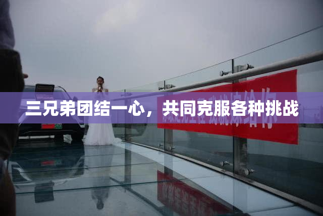 三兄弟团结一心，共同克服各种挑战