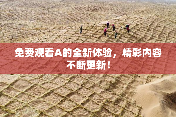免费观看A的全新体验，精彩内容不断更新！