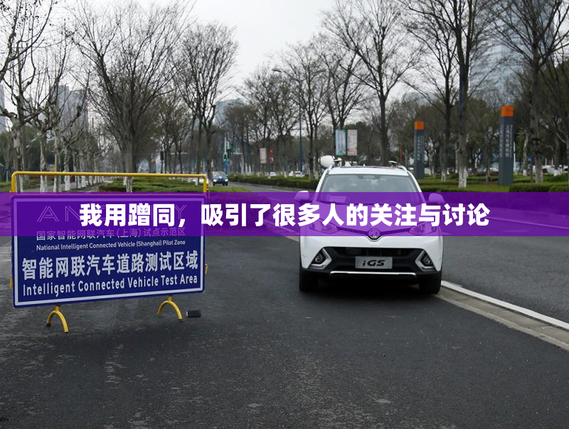 我用蹭同，吸引了很多人的关注与讨论