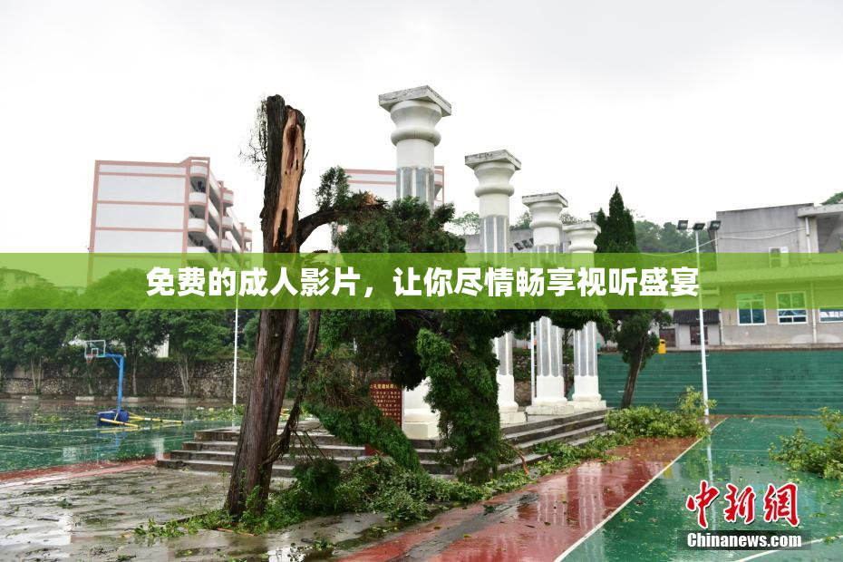 免费的成人影片，让你尽情畅享视听盛宴