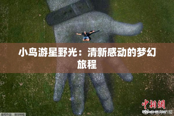 小鸟游星野光：清新感动的梦幻旅程