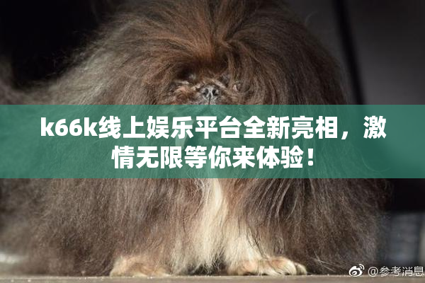 k66k线上娱乐平台全新亮相，激情无限等你来体验！