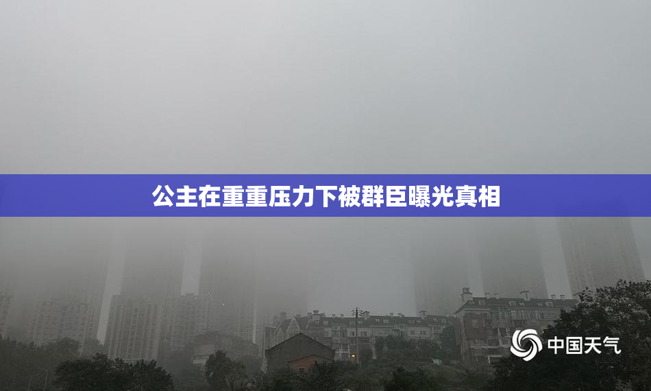 公主在重重压力下被群臣曝光真相
