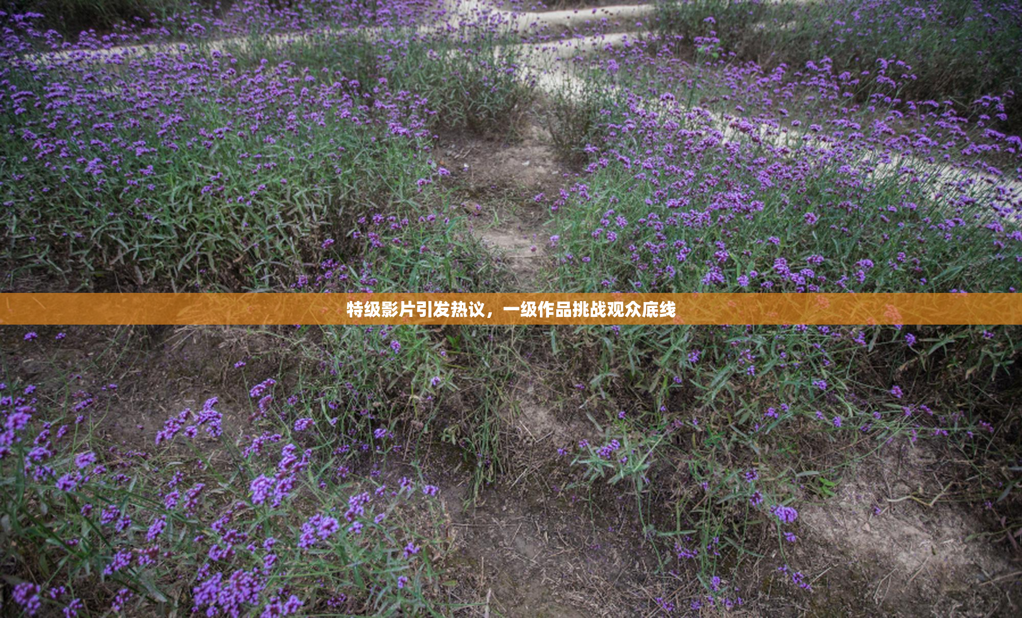 特级影片引发热议，一级作品挑战观众底线