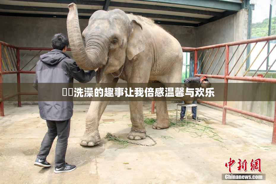 妺妺洗澡的趣事让我倍感温馨与欢乐