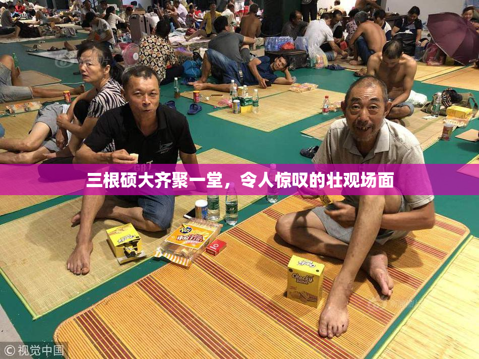 三根硕大齐聚一堂，令人惊叹的壮观场面