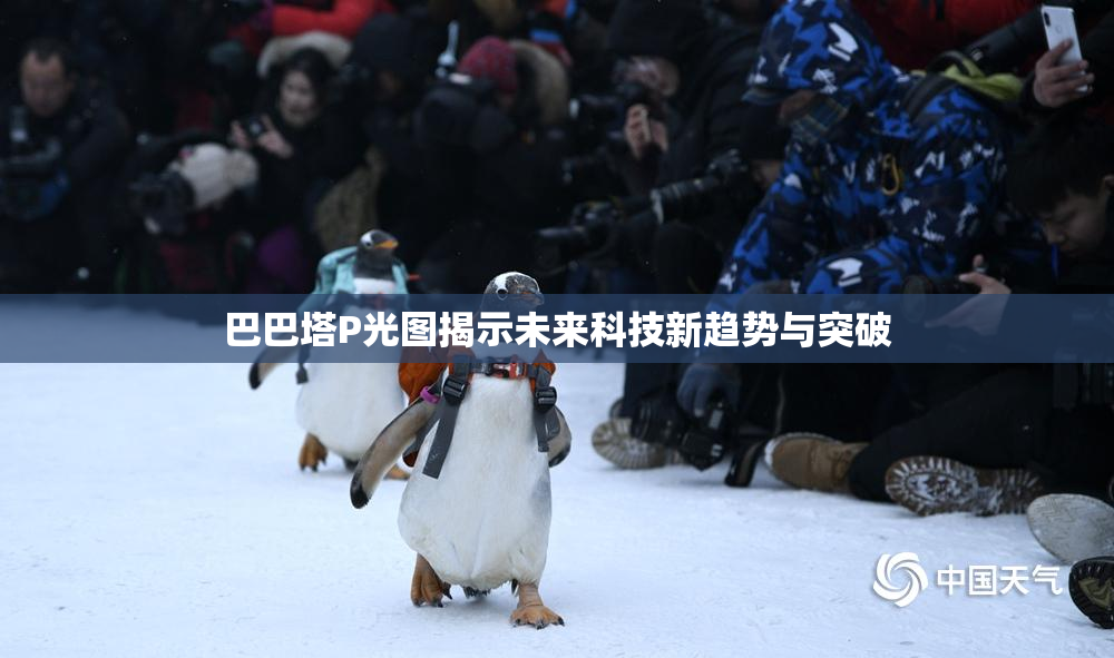 巴巴塔P光图揭示未来科技新趋势与突破