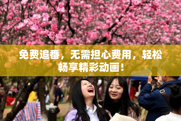 免费追番，无需担心费用，轻松畅享精彩动画！