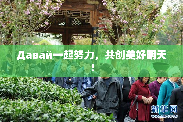 Давай一起努力，共创美好明天！
