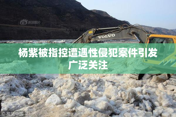 杨紫被指控遭遇性侵犯案件引发广泛关注