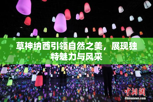 草神纳西引领自然之美，展现独特魅力与风采
