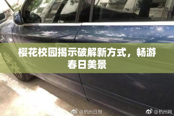 樱花校园揭示破解新方式，畅游春日美景