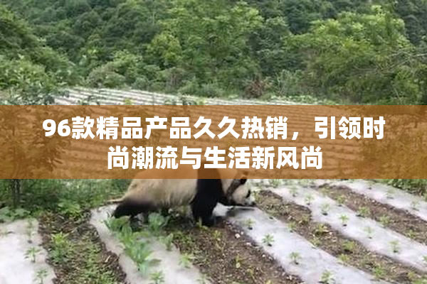 96款精品产品久久热销，引领时尚潮流与生活新风尚