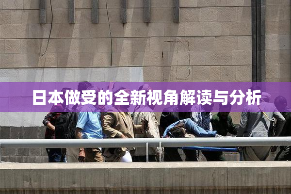 日本做受的全新视角解读与分析