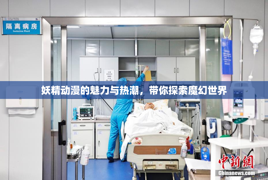 妖精动漫的魅力与热潮，带你探索魔幻世界