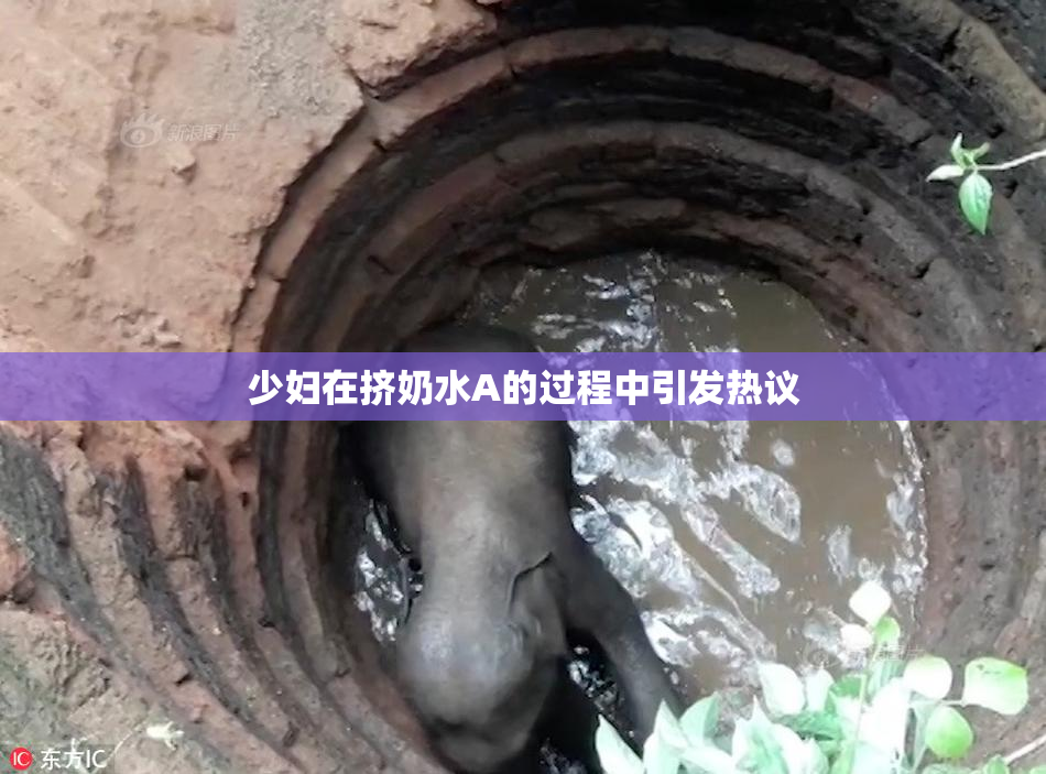 少妇在挤奶水A的过程中引发热议