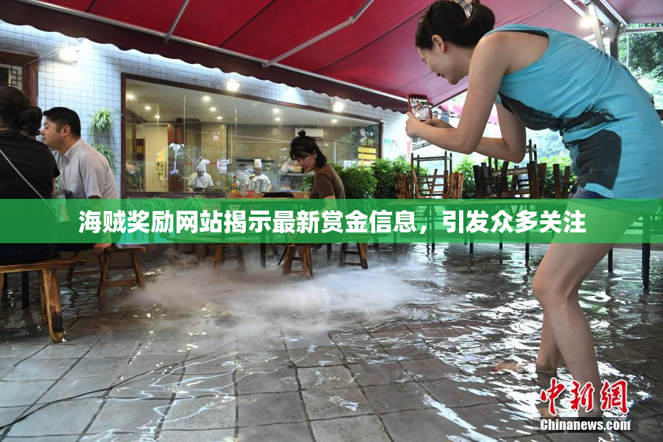 海贼奖励网站揭示最新赏金信息，引发众多关注