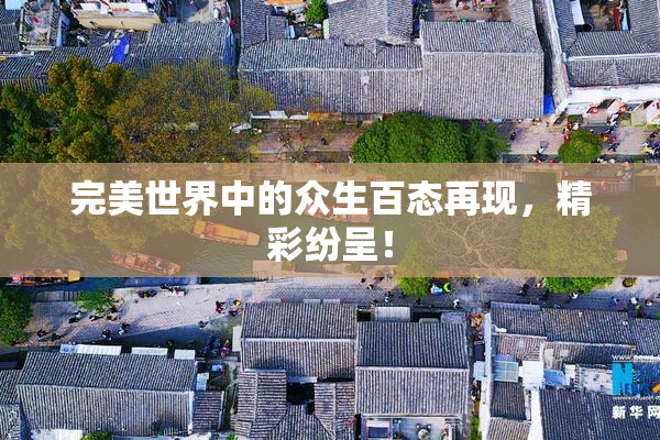 完美世界中的众生百态再现，精彩纷呈！