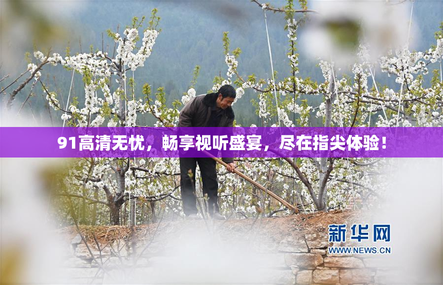 91高清无忧，畅享视听盛宴，尽在指尖体验！