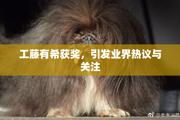 工藤有希获奖，引发业界热议与关注