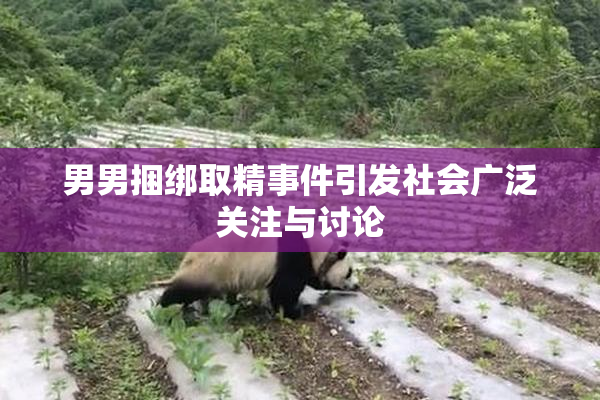 男男捆绑取精事件引发社会广泛关注与讨论