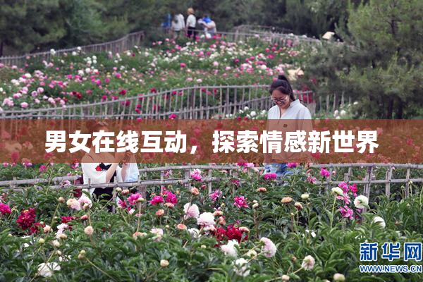 男女在线互动，探索情感新世界