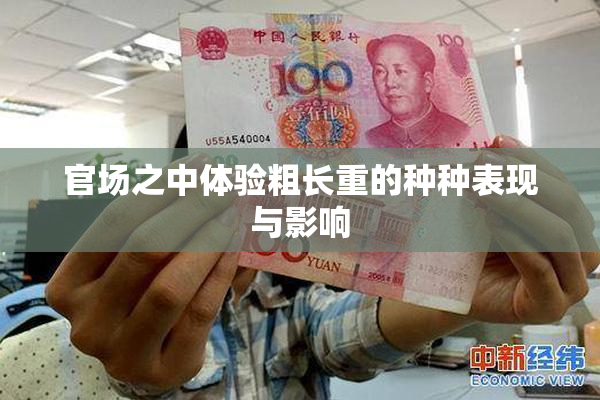 官场之中体验粗长重的种种表现与影响